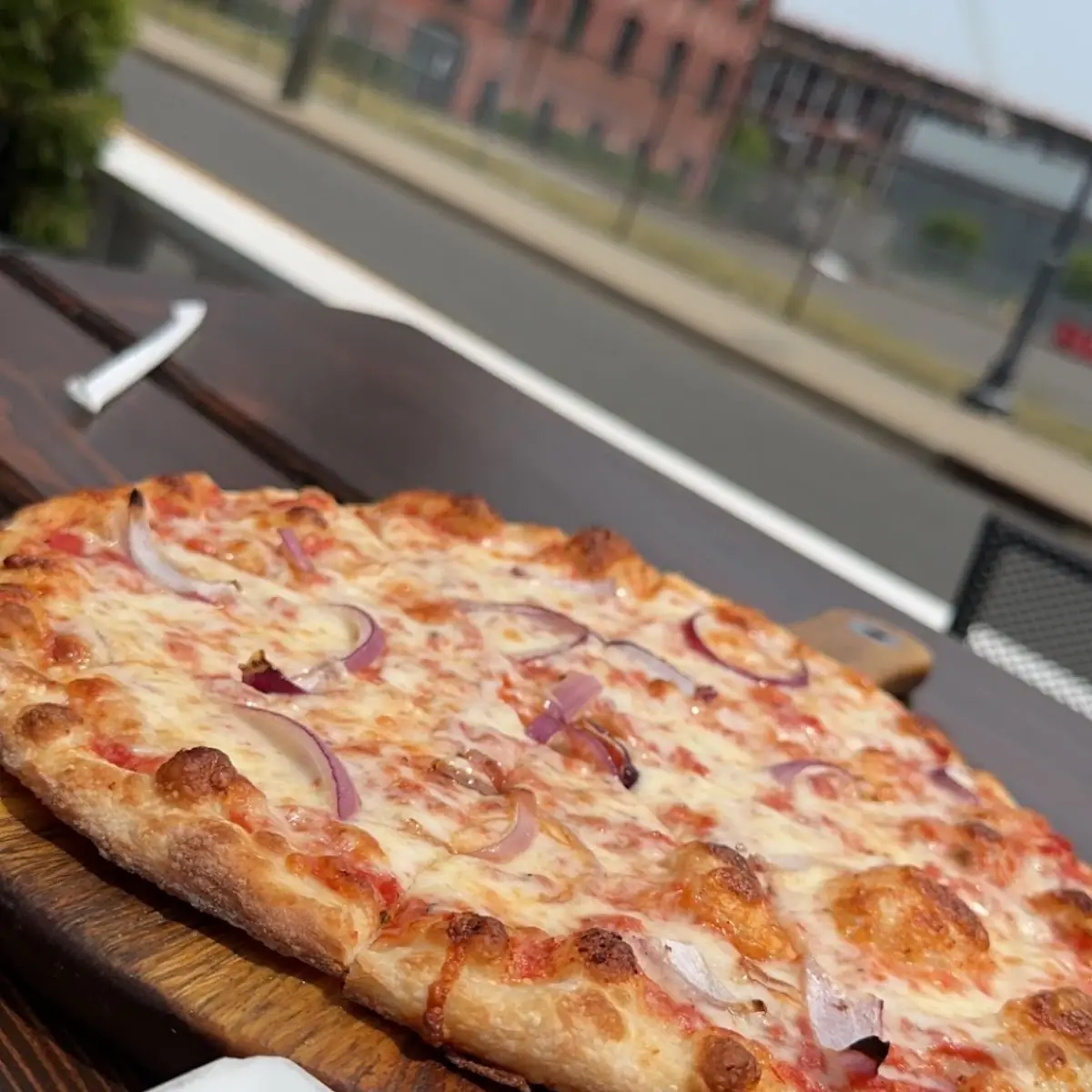Onion and Cheese Pizza