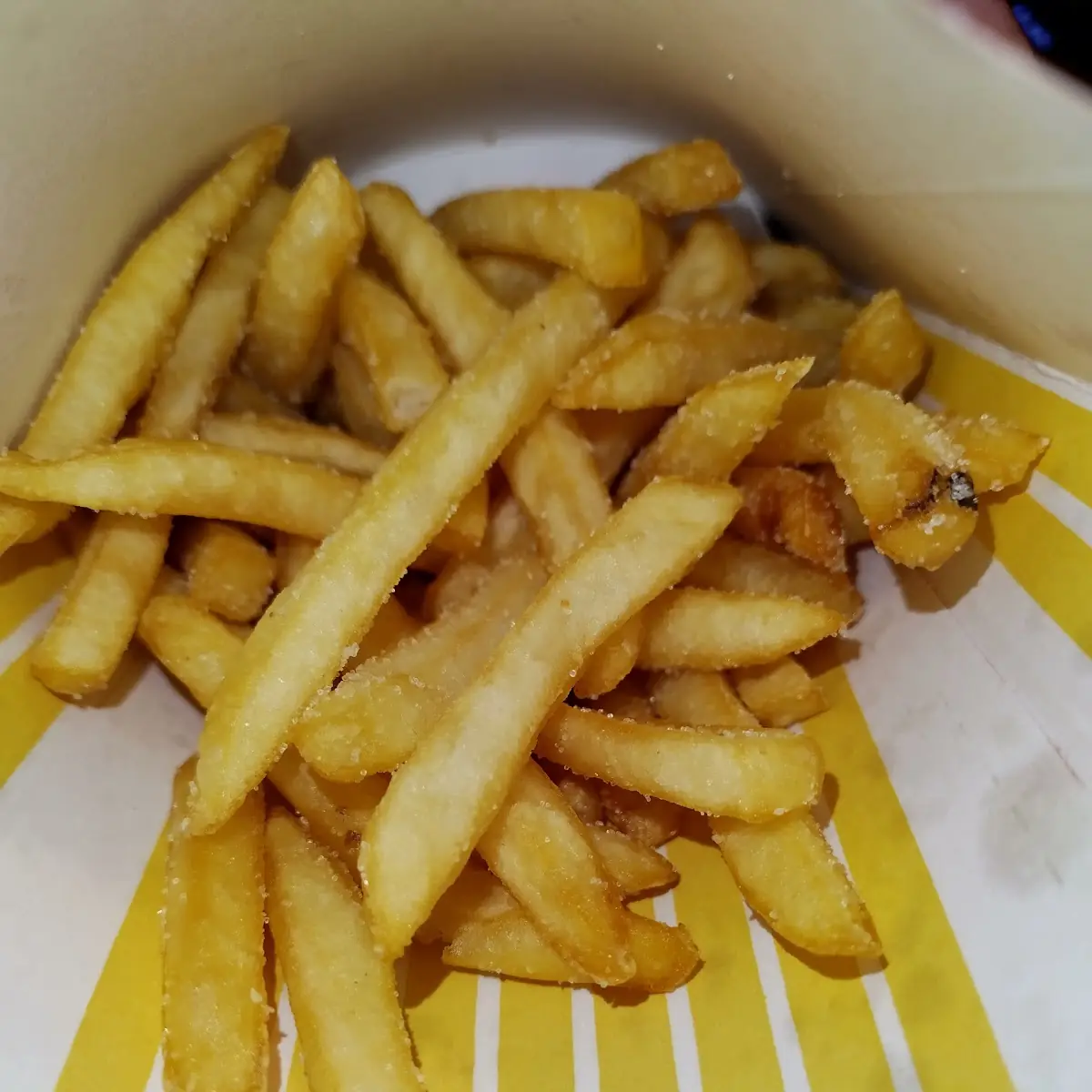 World Famous Fries