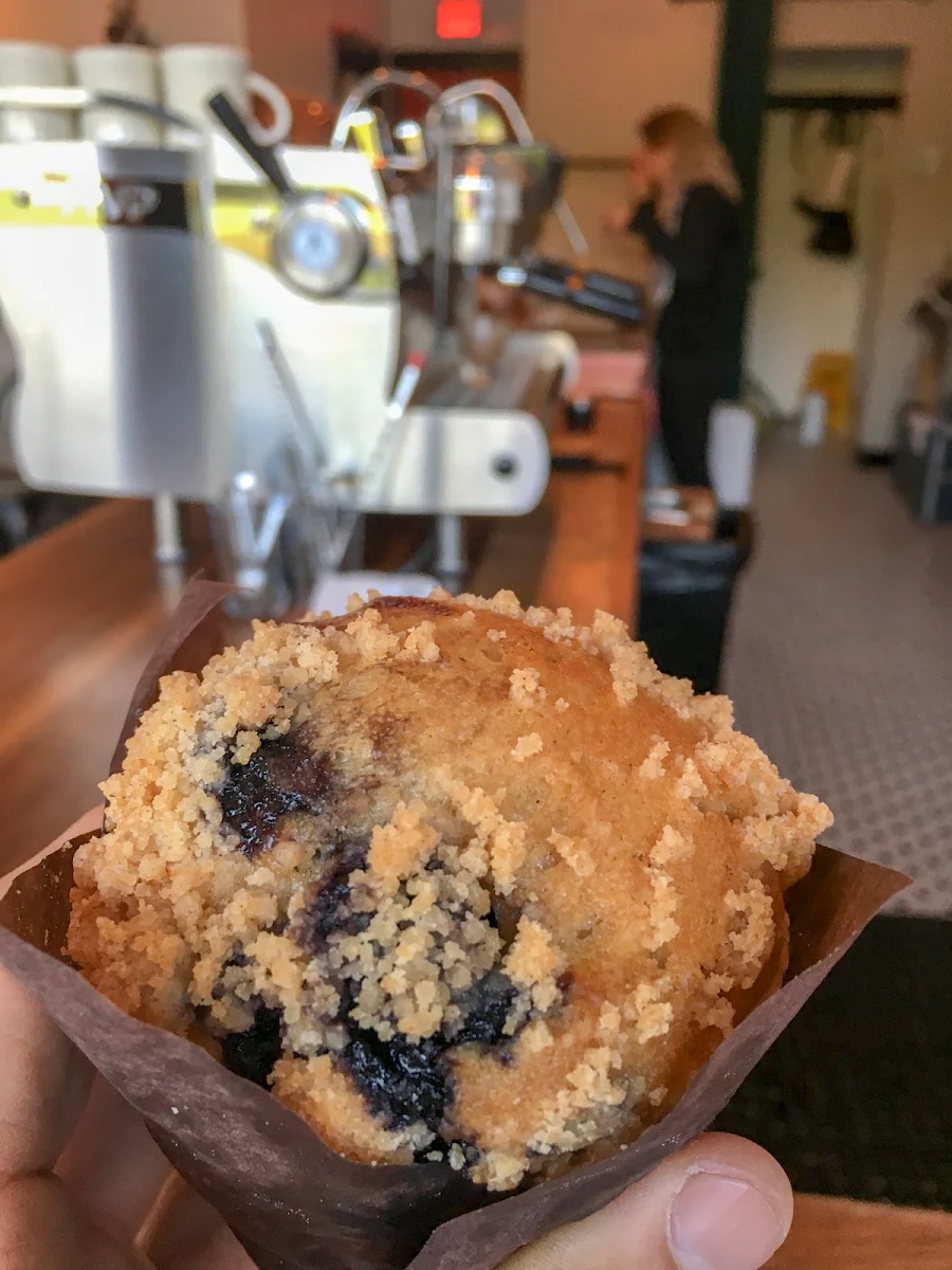 Blueberry Muffin