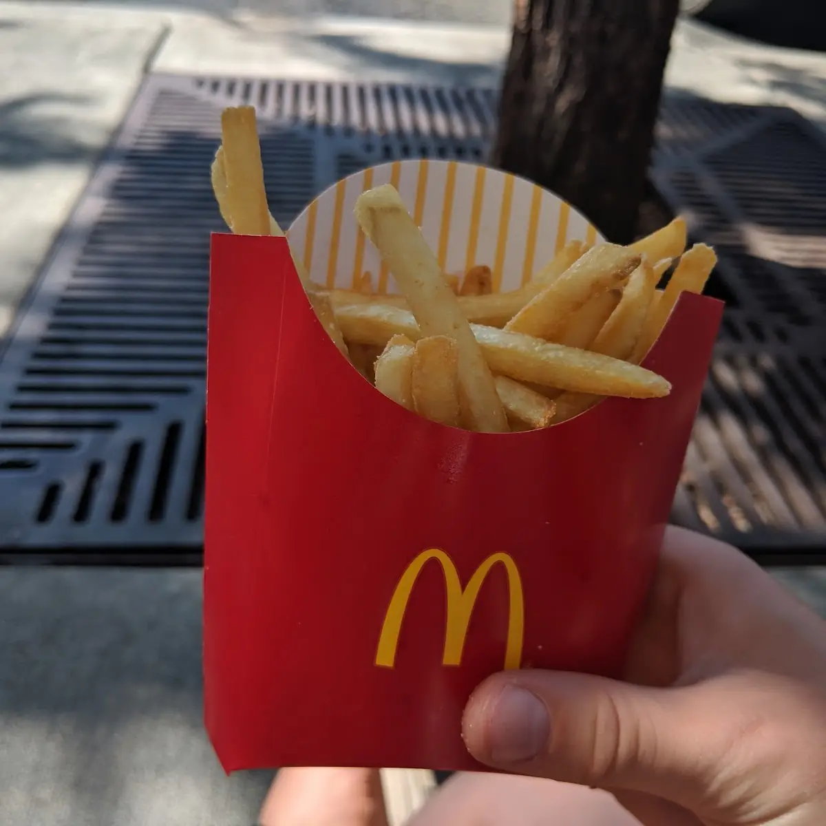 Medium Fries