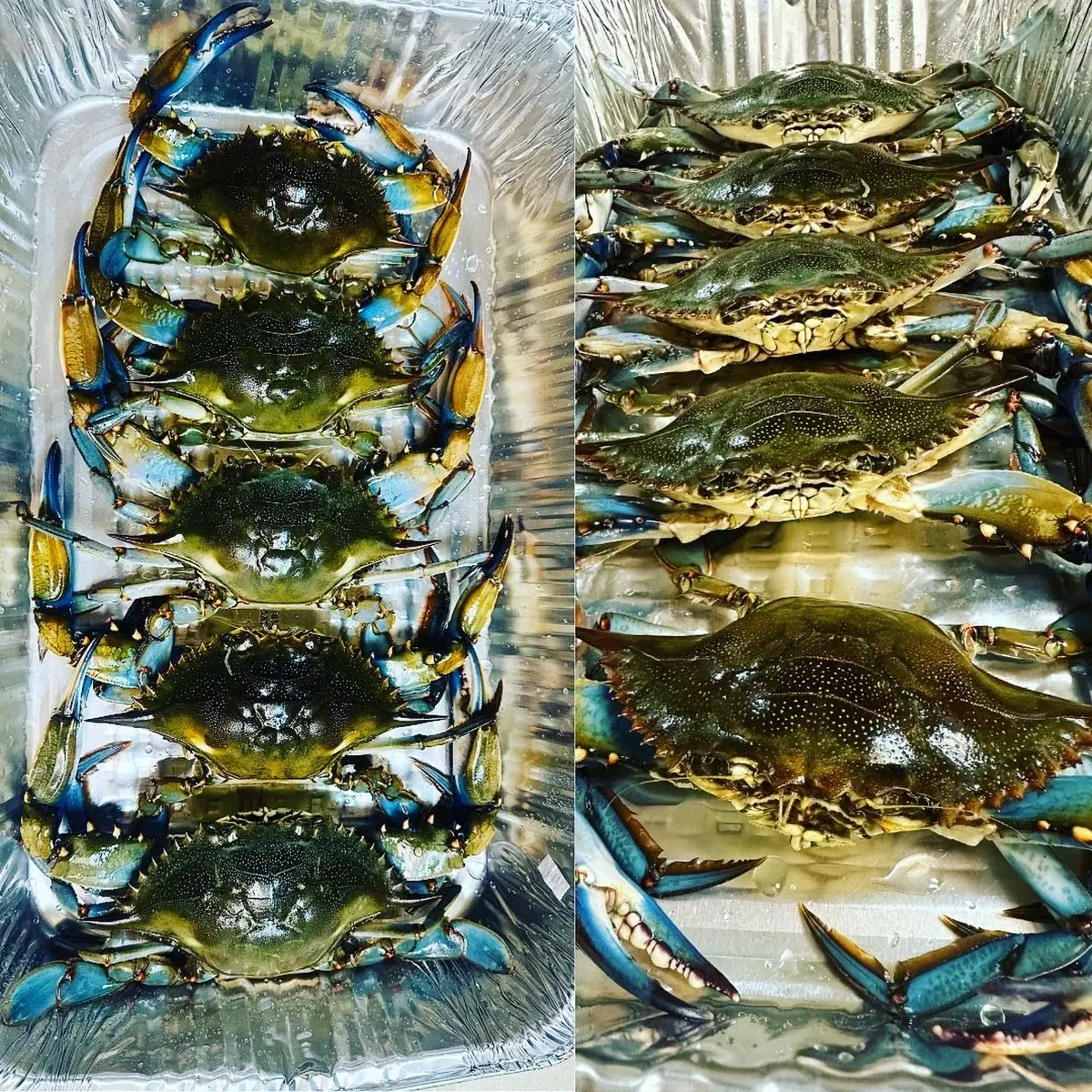 Soft Shell Crab