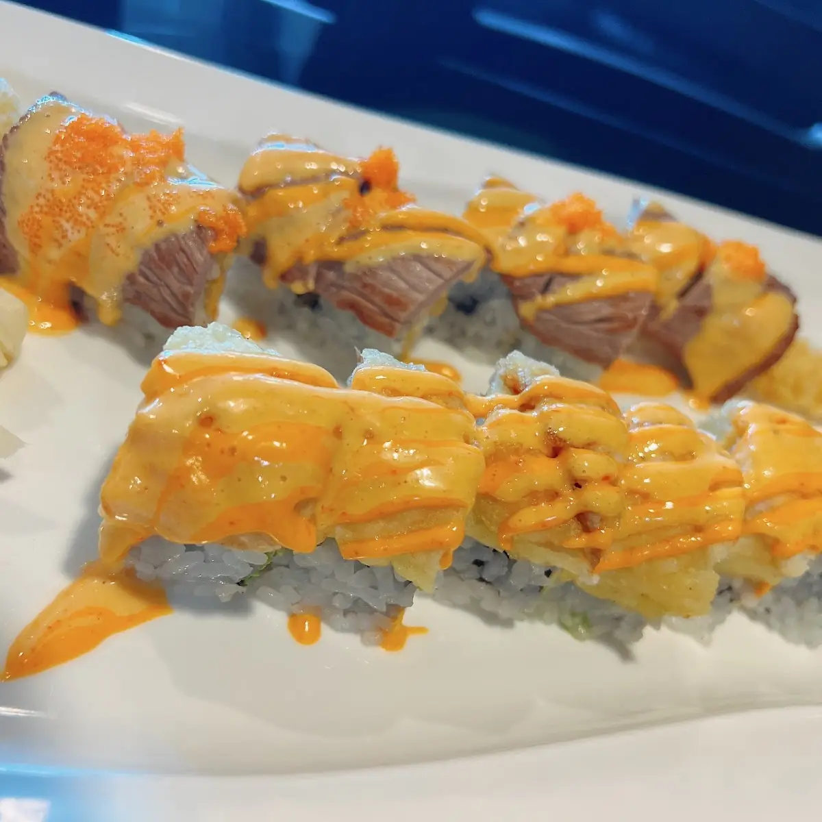 Ocean Roll