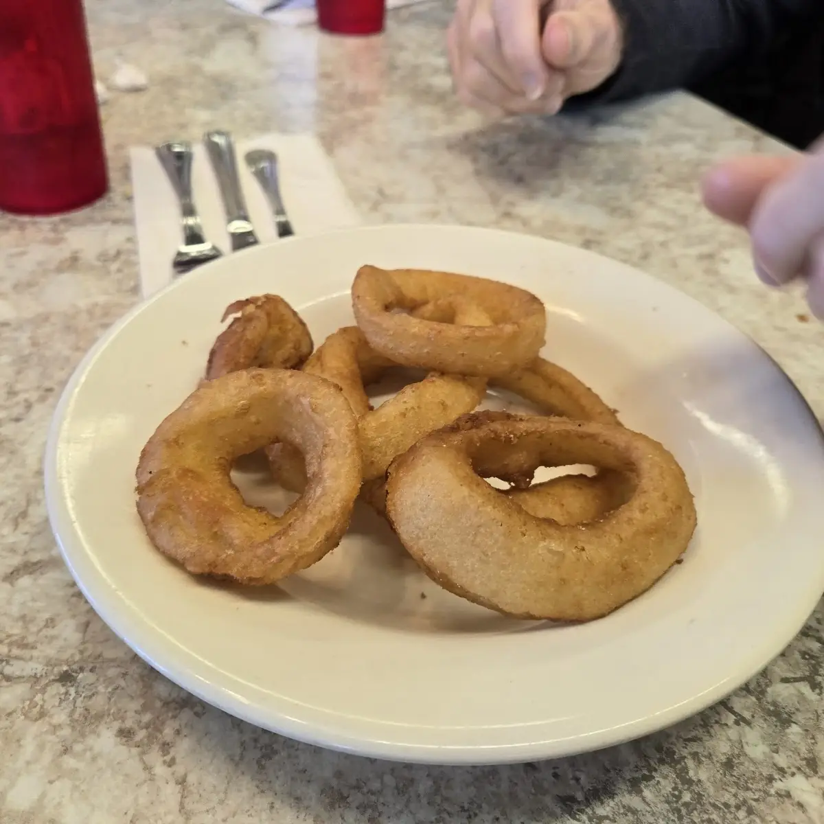 Onion Rings