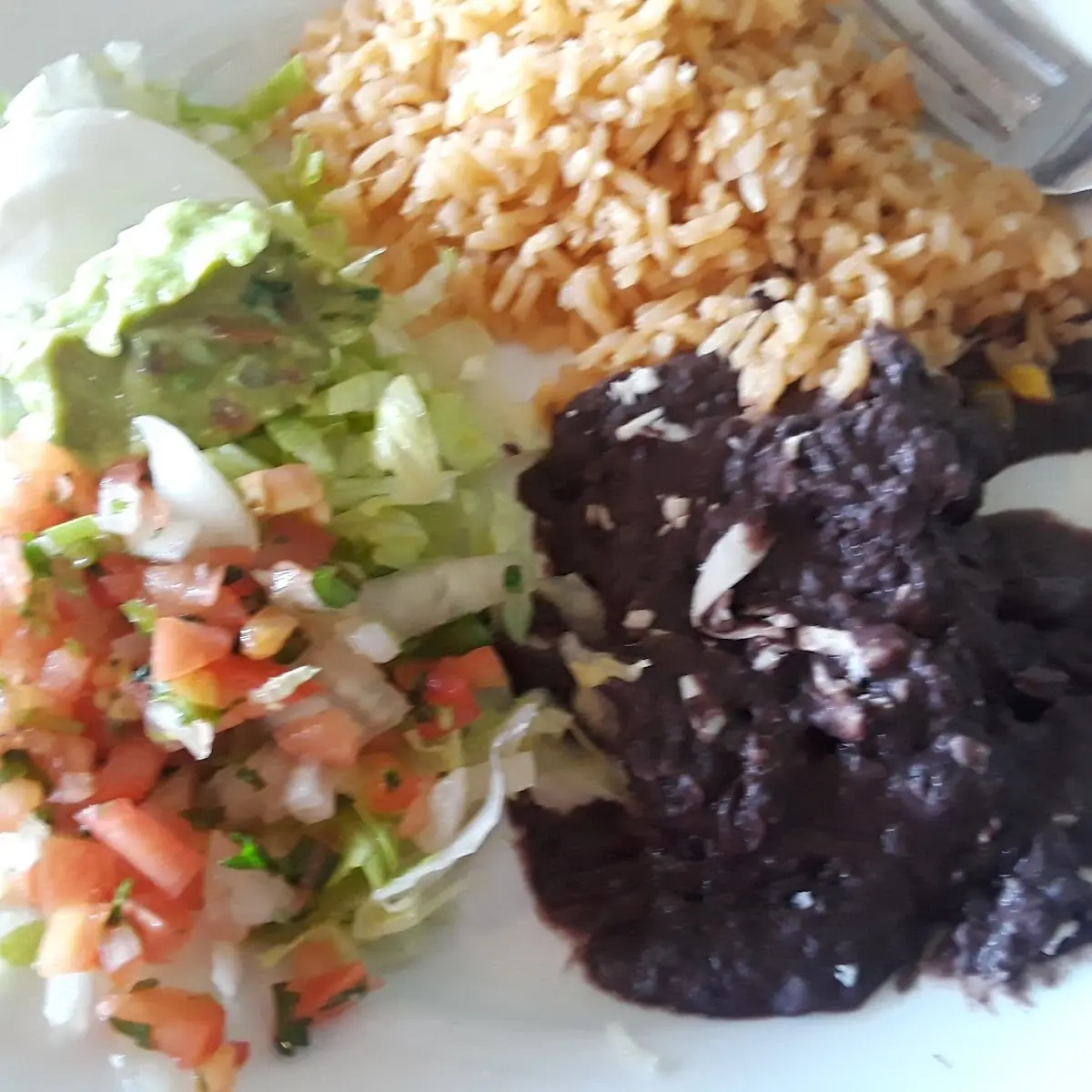 Side Salad Rice Black Beans and Guacamole