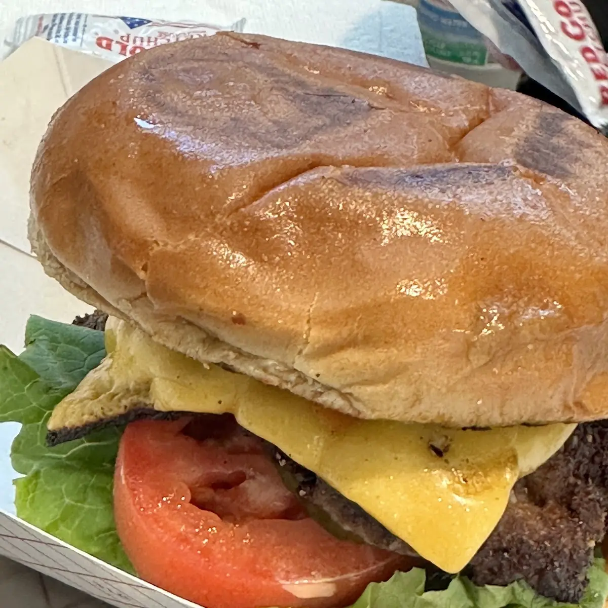 Single Cheese Burger