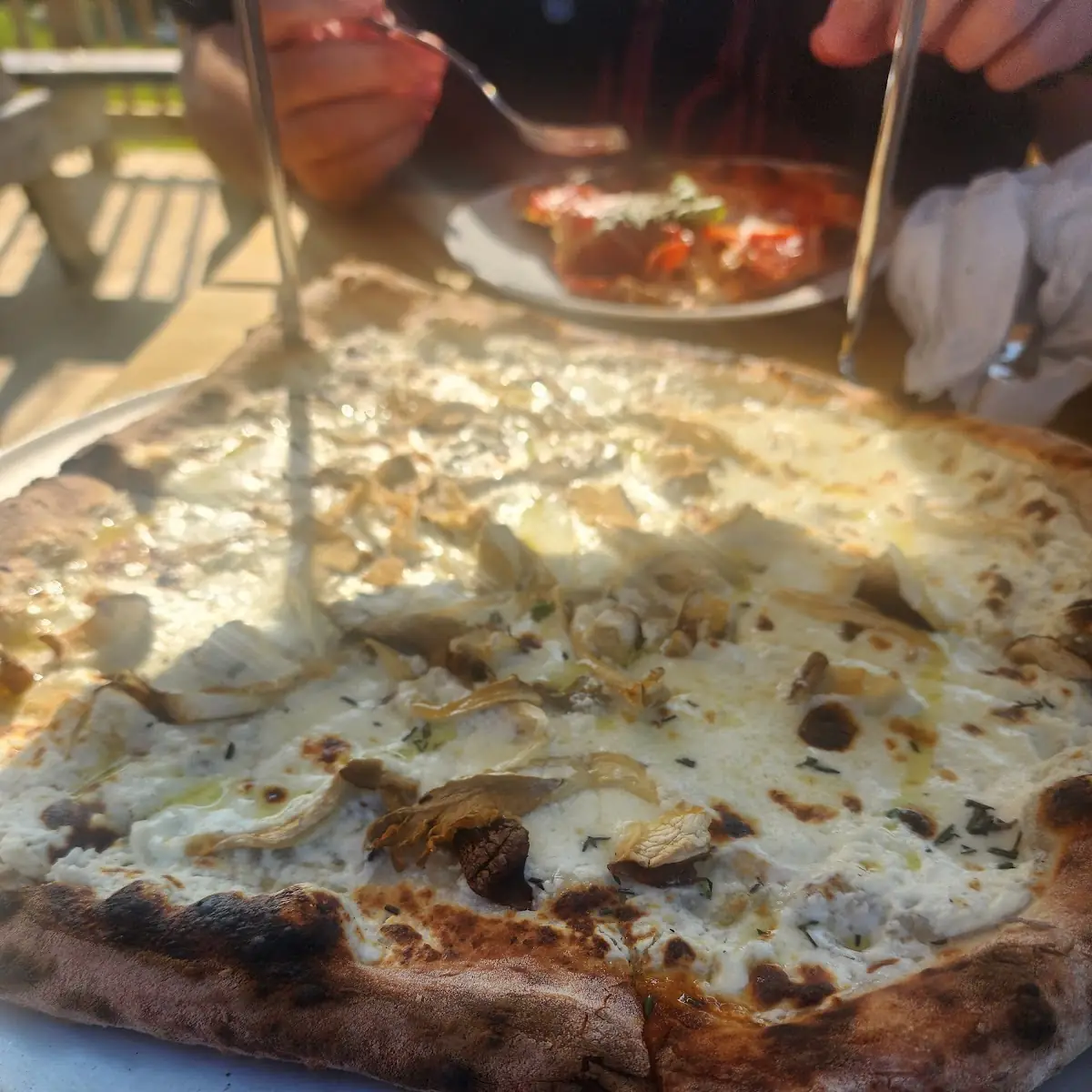 Mushroom Pizza