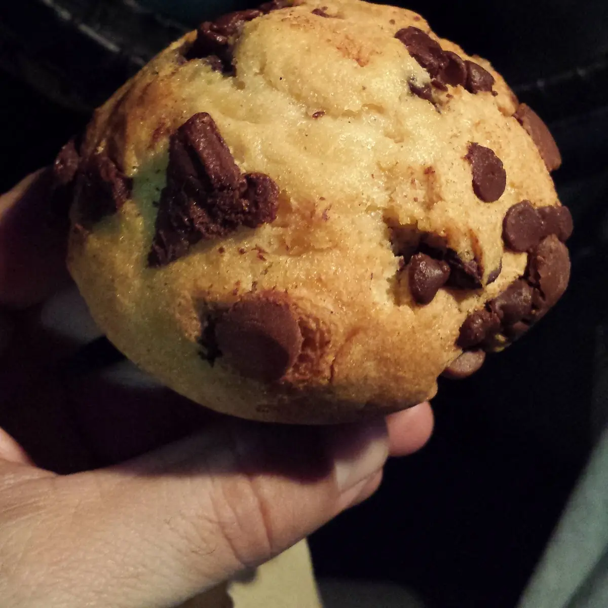 Chocolate Chip