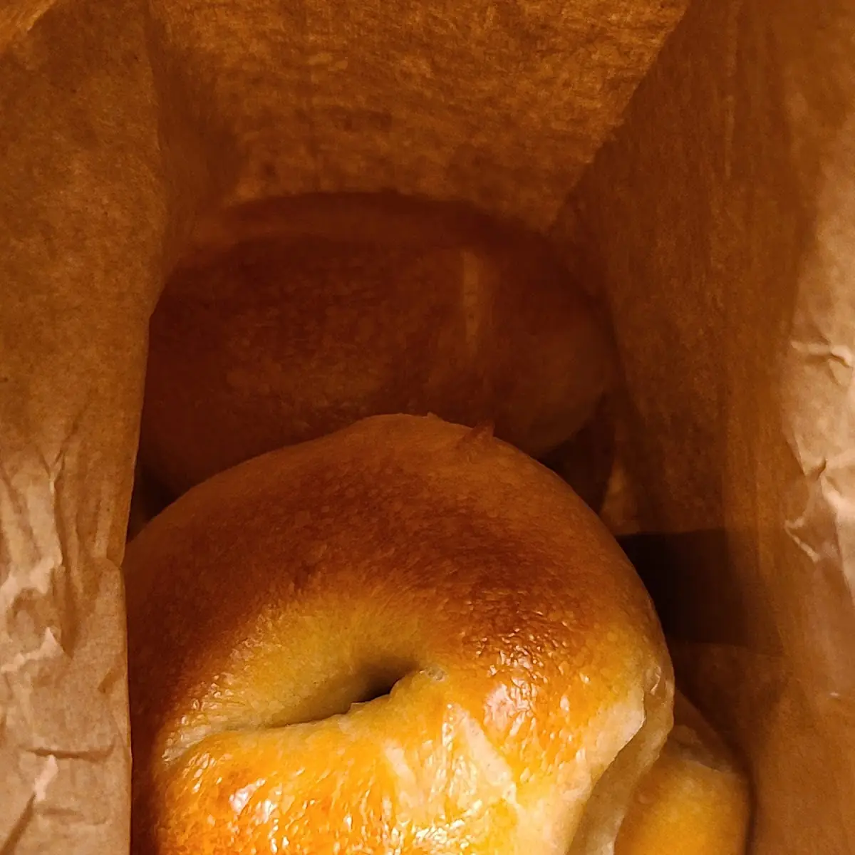 Plain Bagels and Whole Wheat Everything Bagels