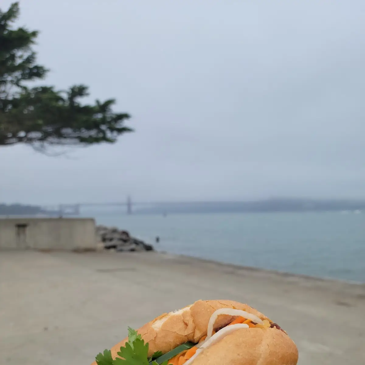 Banh MI Thit Nguoi