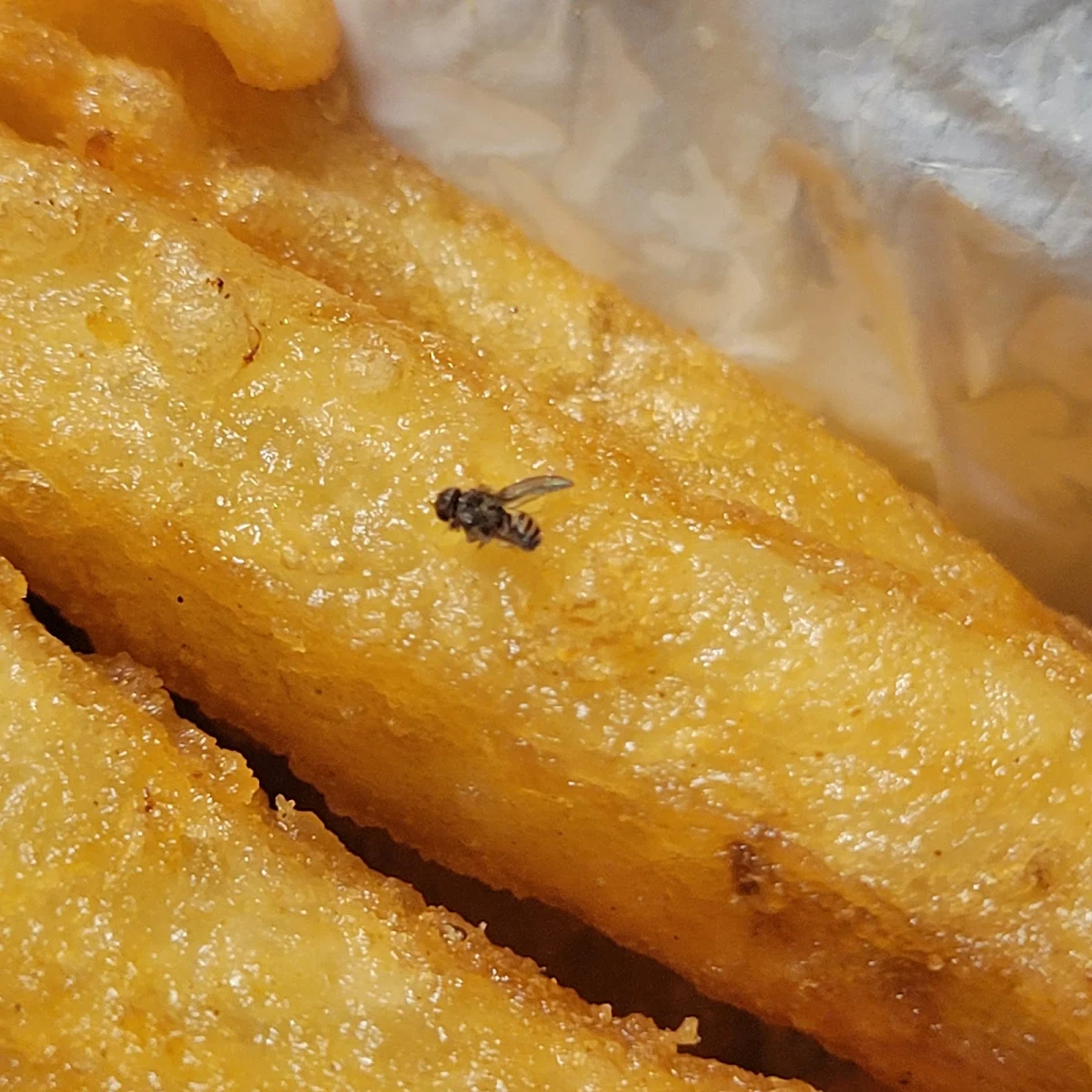 Frites, Pizza Saint Laurent (Halal)