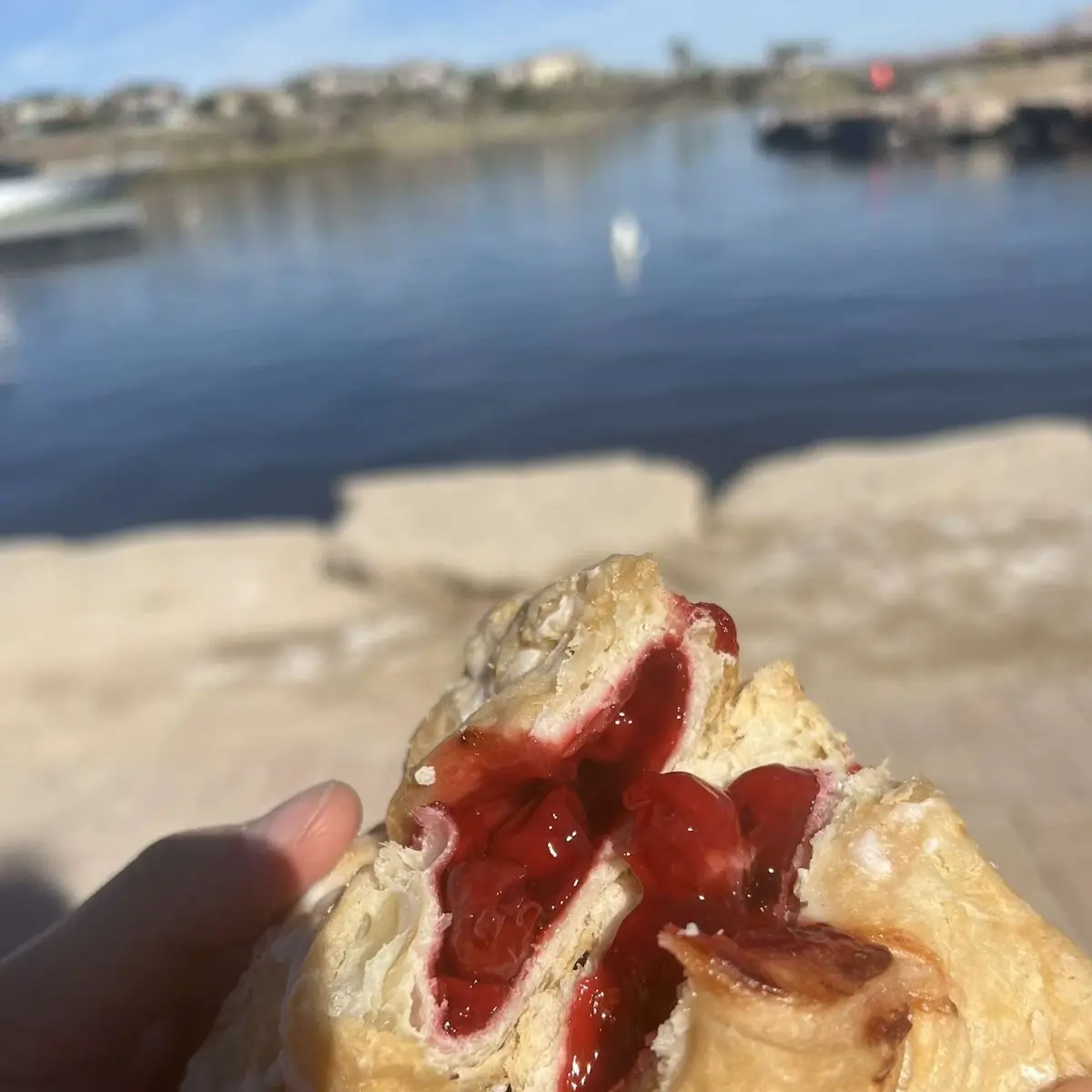 Cherry Turnover