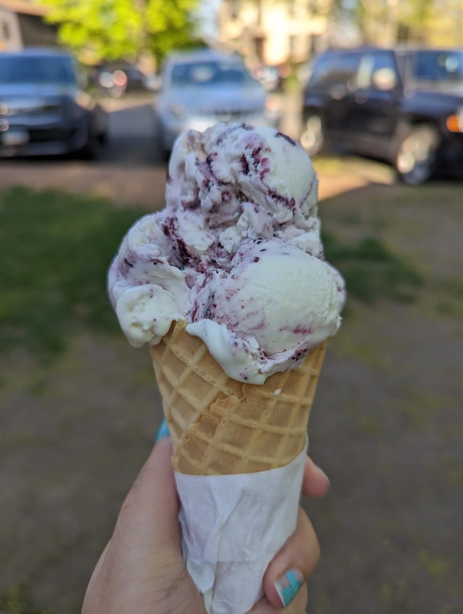 Black Raspberry with Chocalate Chip