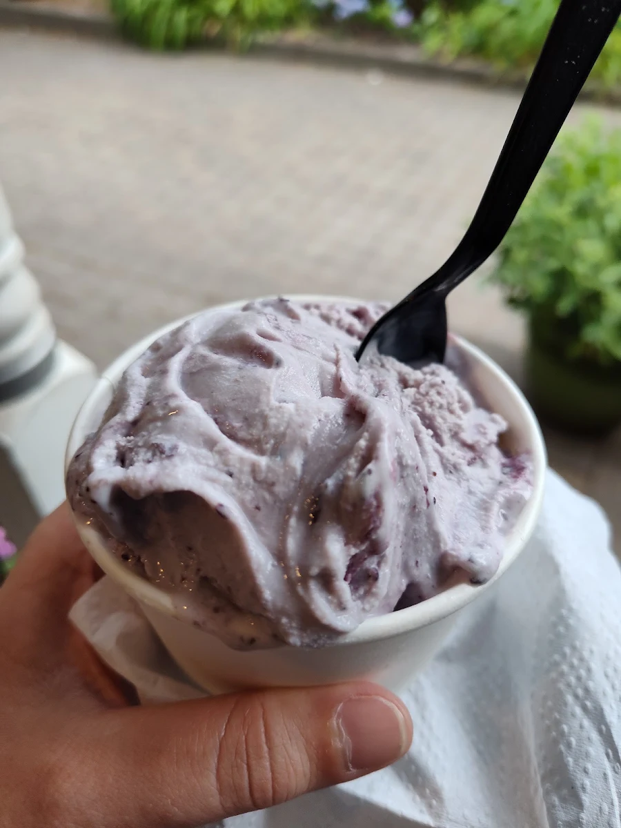Blueberry Ice Cream