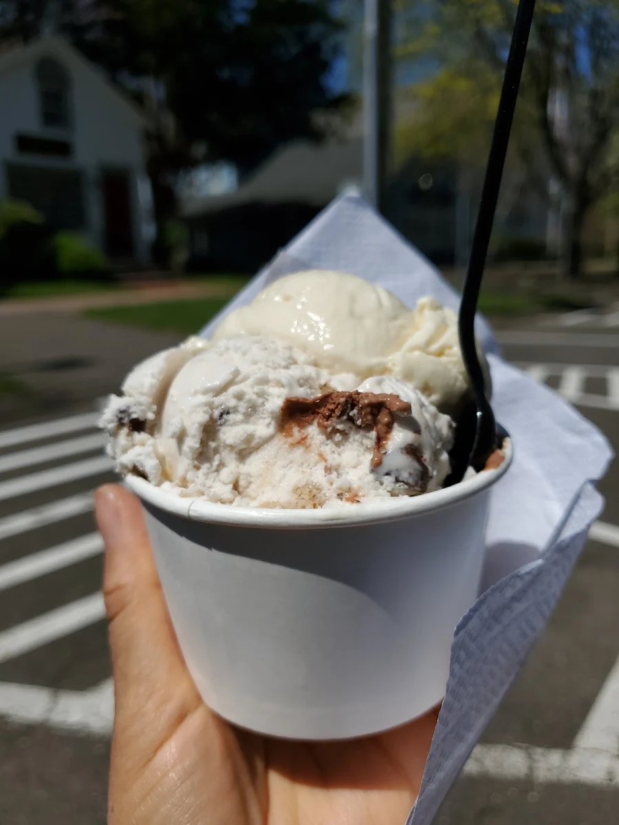 Various Vegan Friendly Ice Cream Flavors