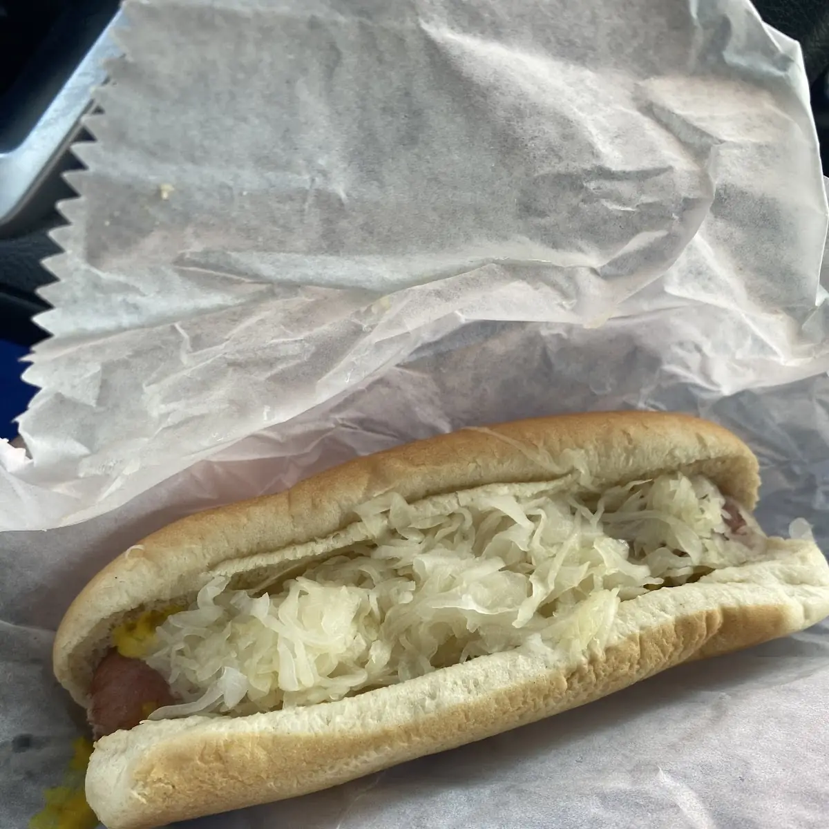 New York Dog