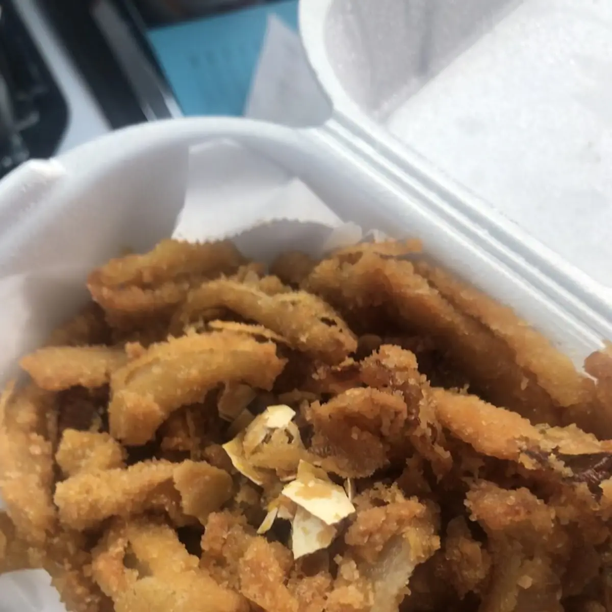 Zucchini Fries