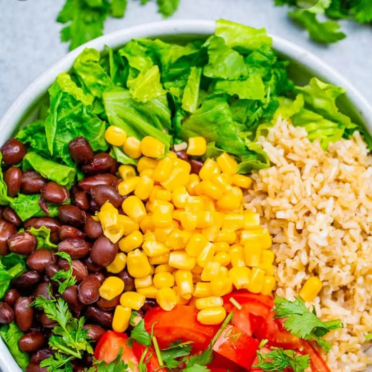 Burrito Bowl