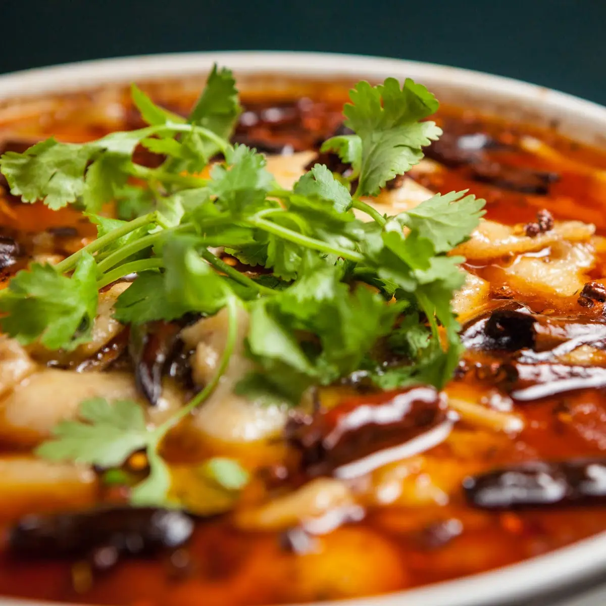 Spicy Sour Soup Noodles