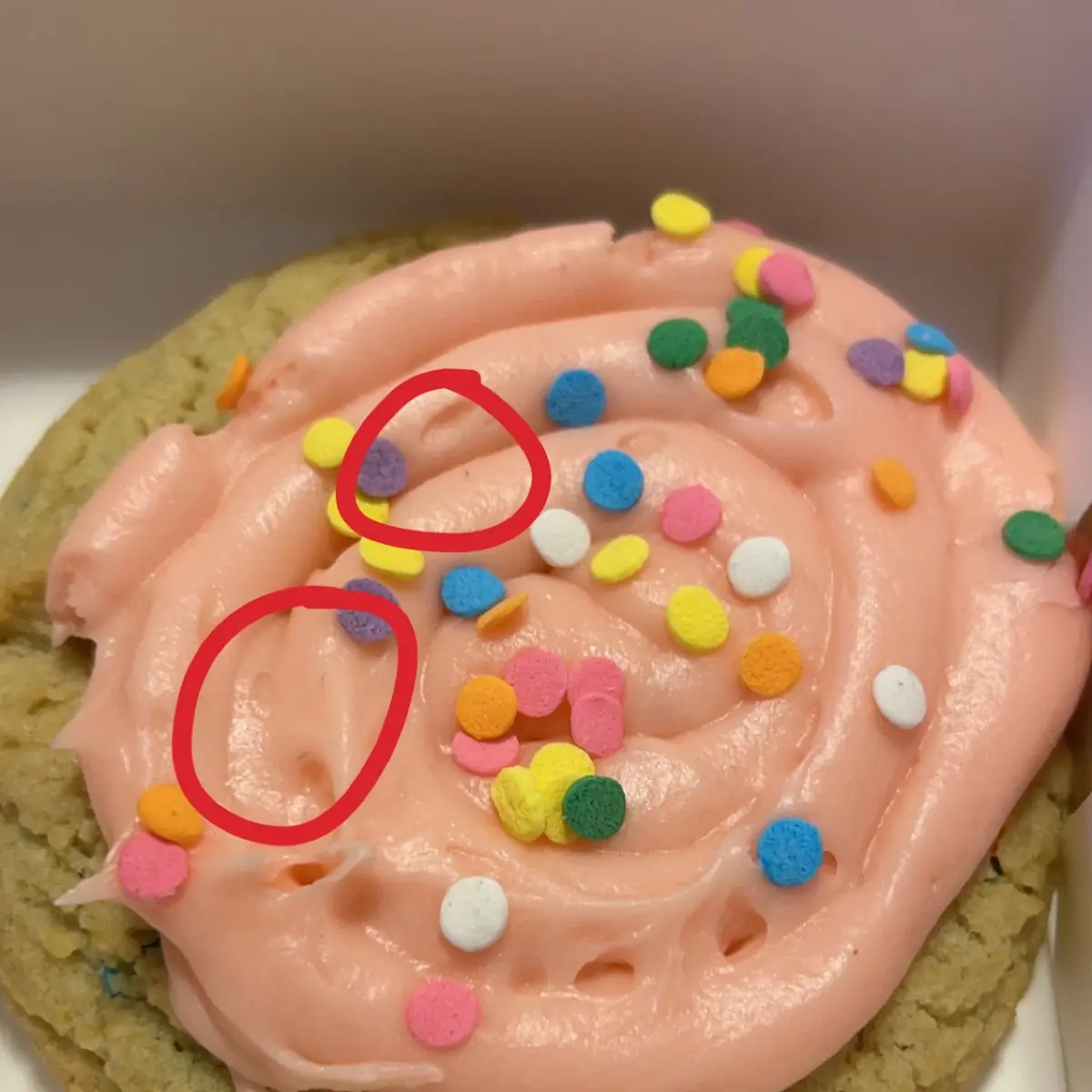 Sugar Cookie