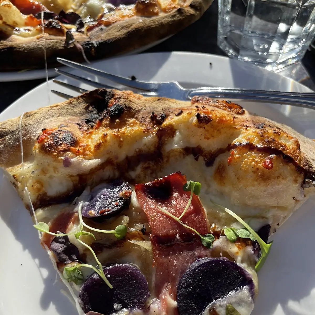 12 Roasted Mushroom Pizza