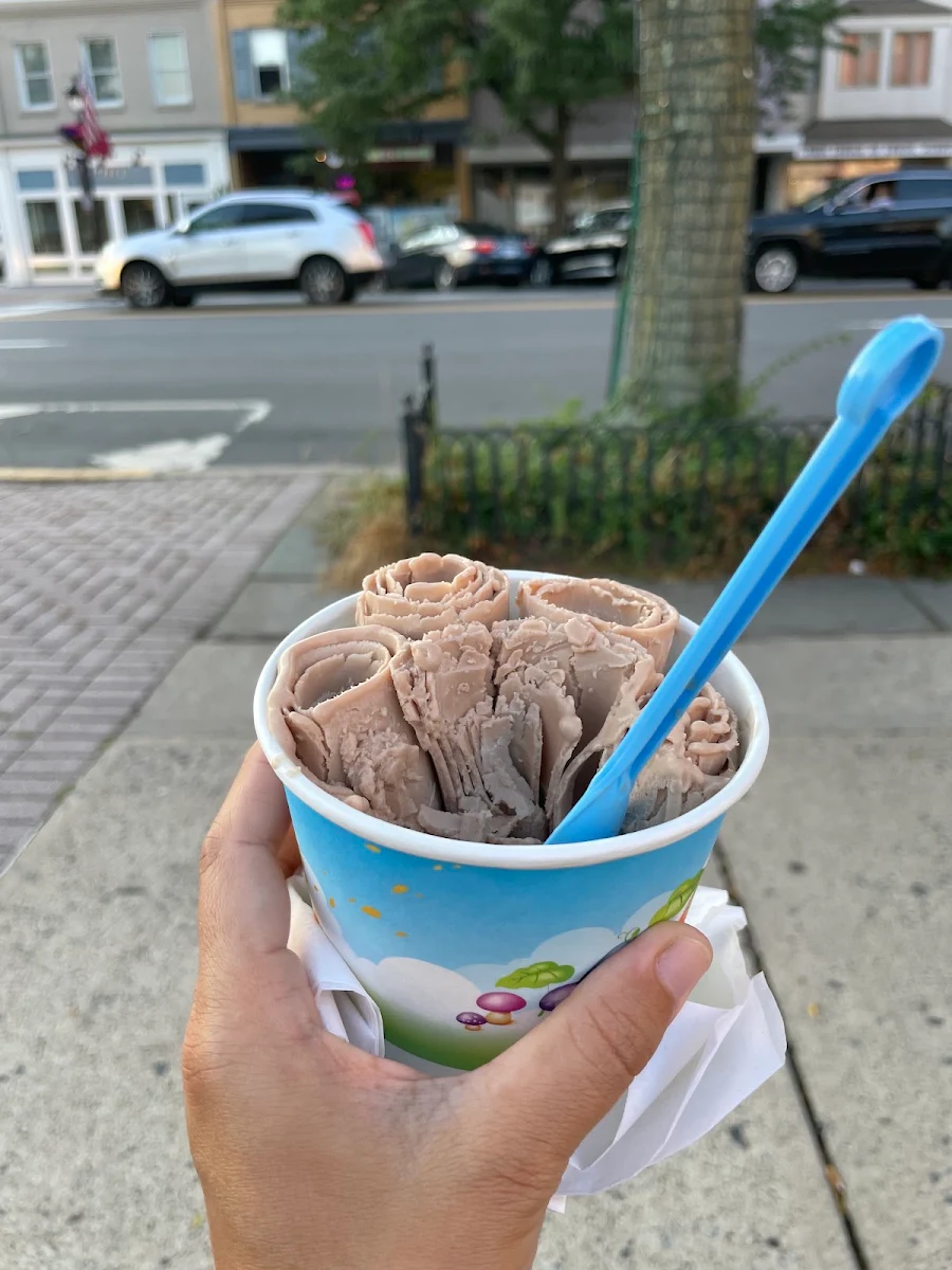 Dairy Free Chocolate Ice Cream