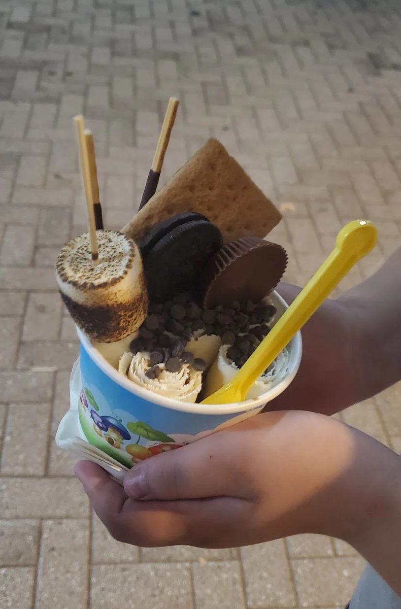 Smores Rolled Ice Cream