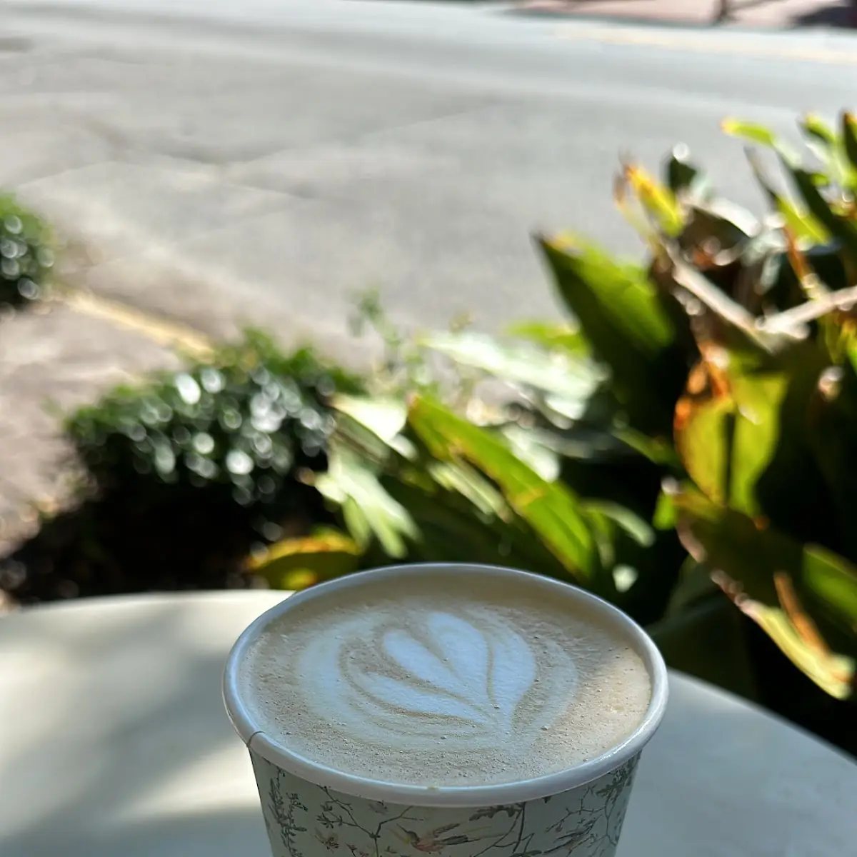 Macadamia Milk Latte