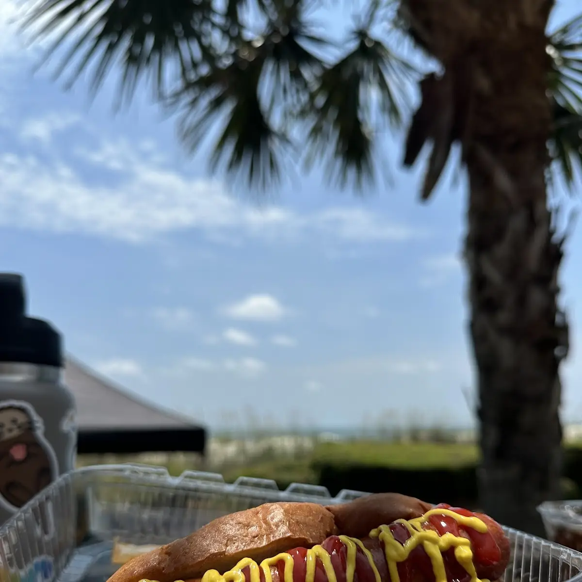 Hot Dog