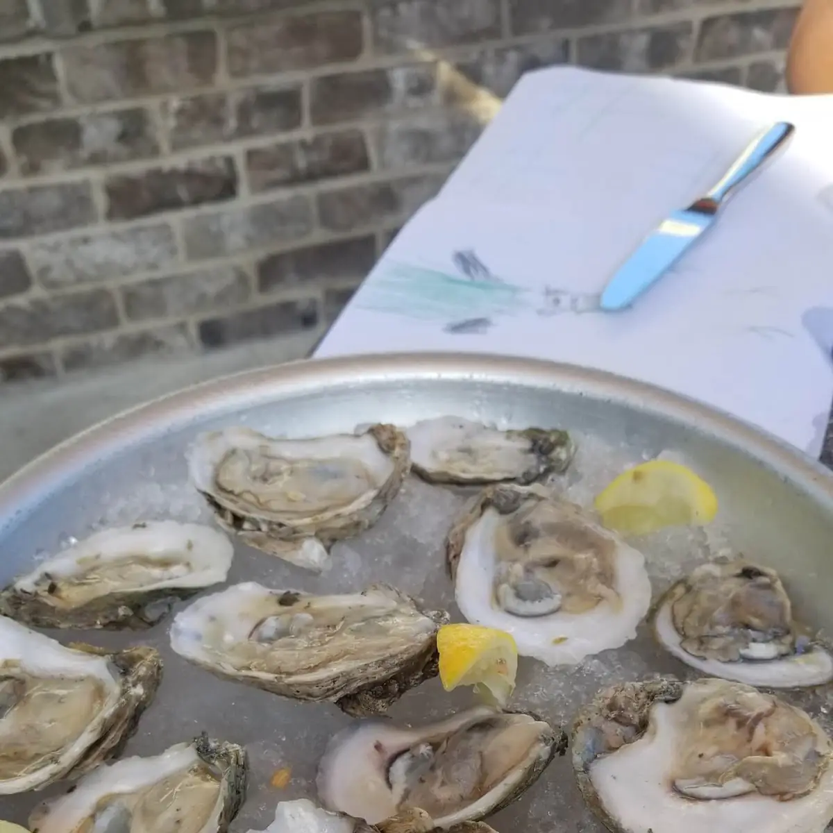 Oysters on the Half Shell