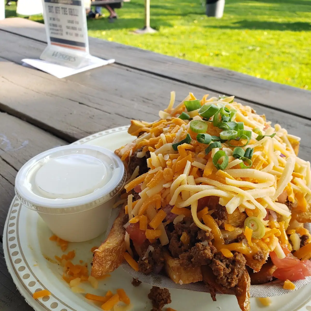 Loaded Fries