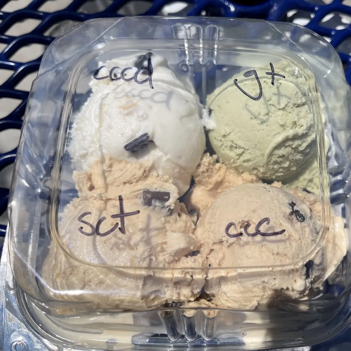 Chocolate Chip Cookie Dough