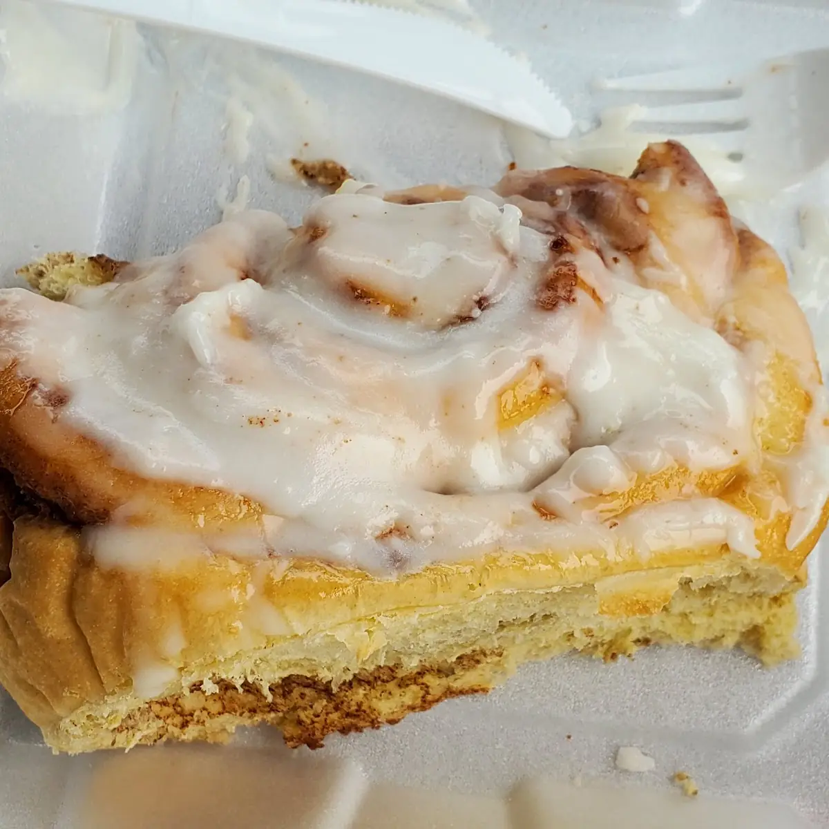 Cinnamon Roll as Big as My Head