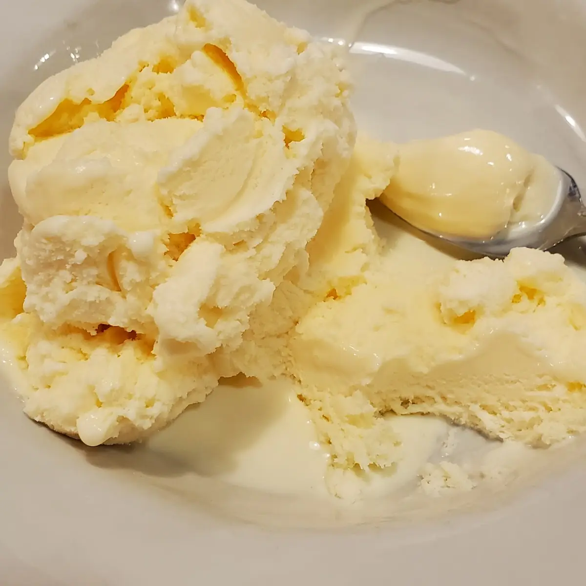 Hudsonville Vanilla Ice Cream