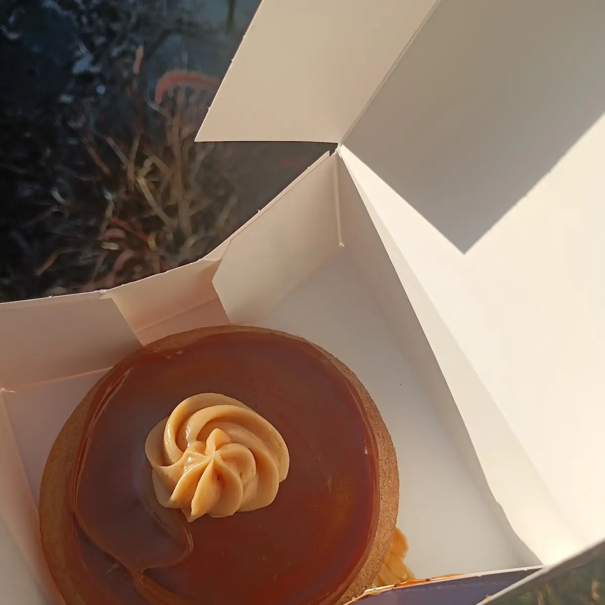 Tres Leches