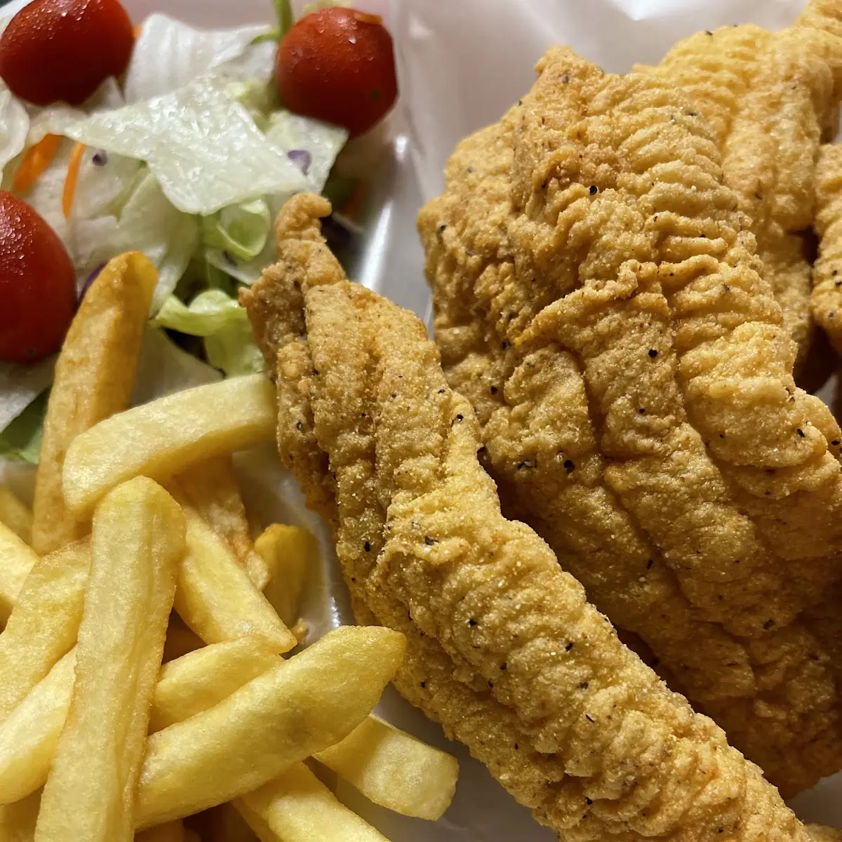 Catfish Plate Fries with Salad