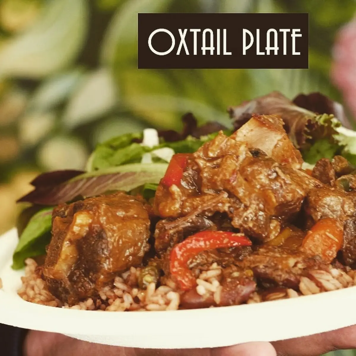 Oxtail Plate
