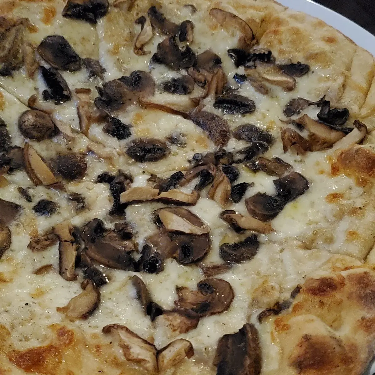 Mushroom Pizza