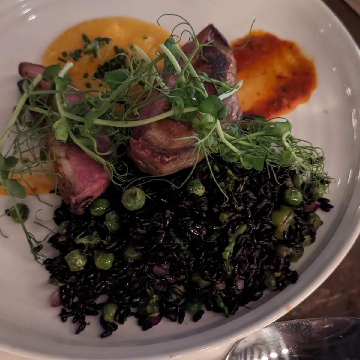 Seared Duck Breast