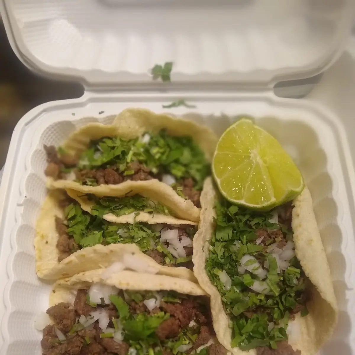 Handmade Tortilla Taco Asada