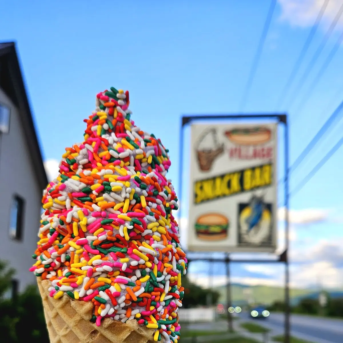 Black Raspberry Creemee in a Waffle Cone