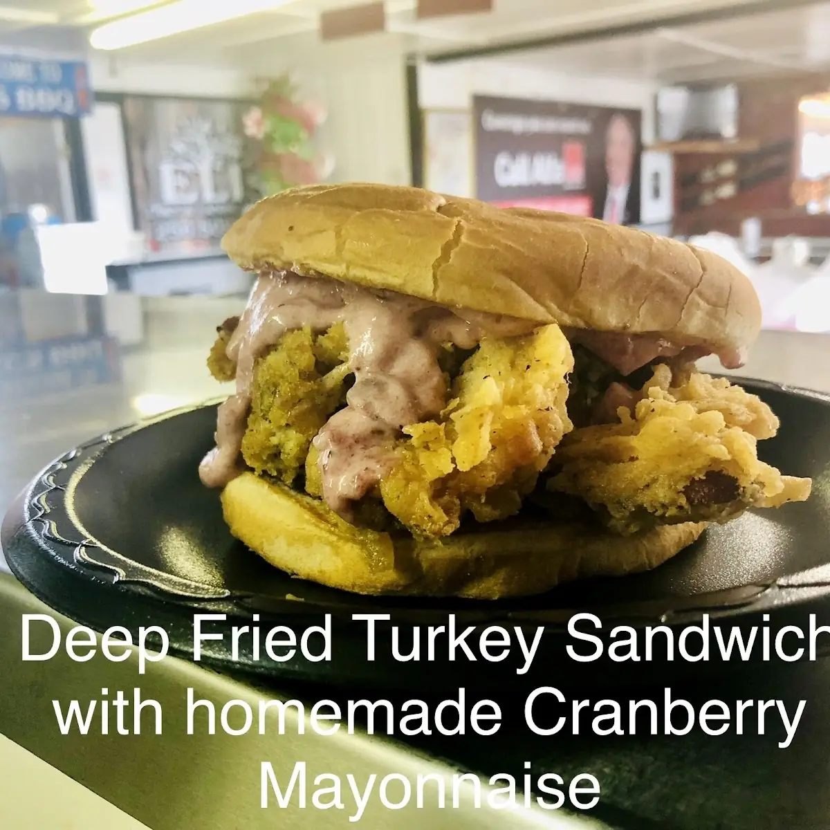 Pulled Chicken Sandwich