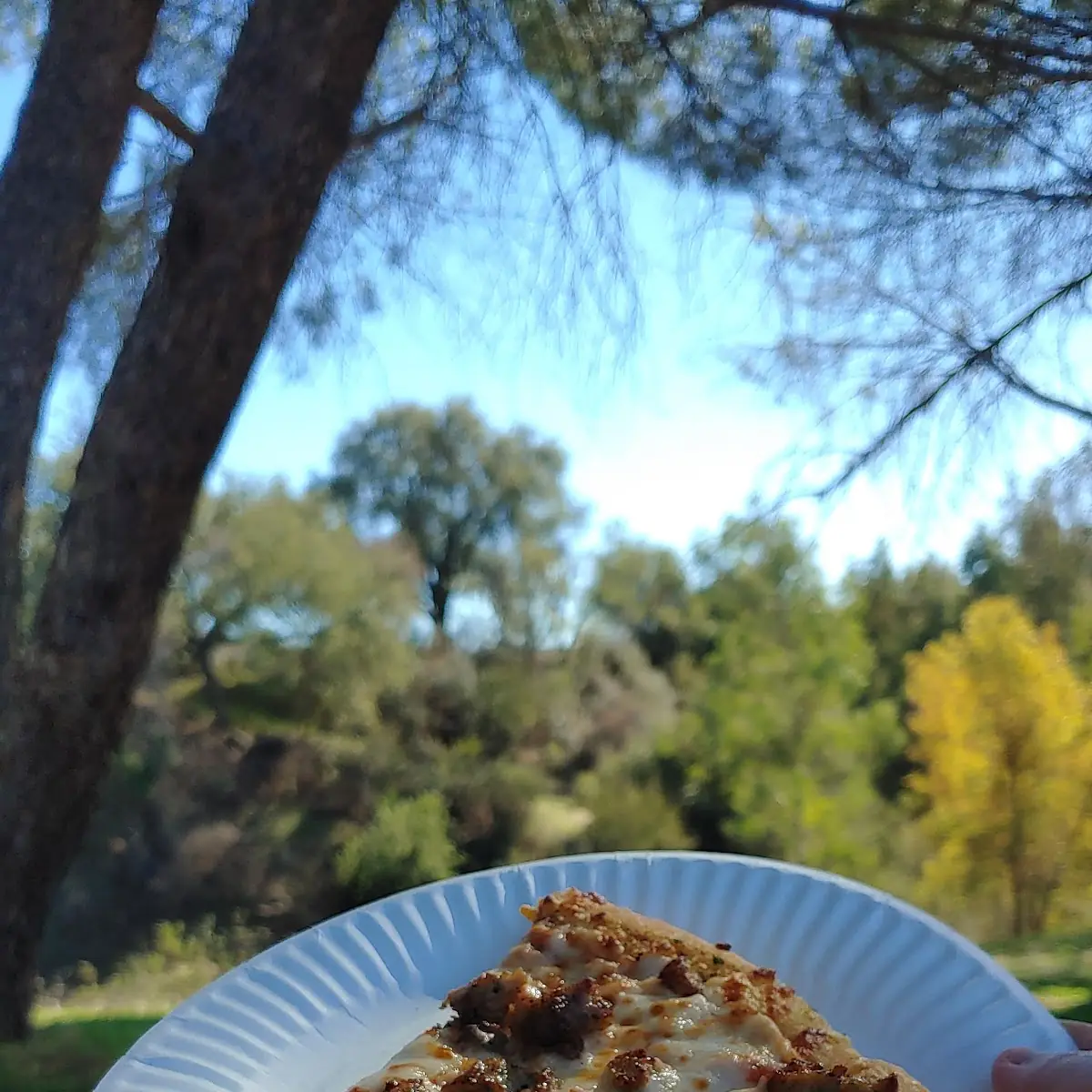 Sausage Pizza