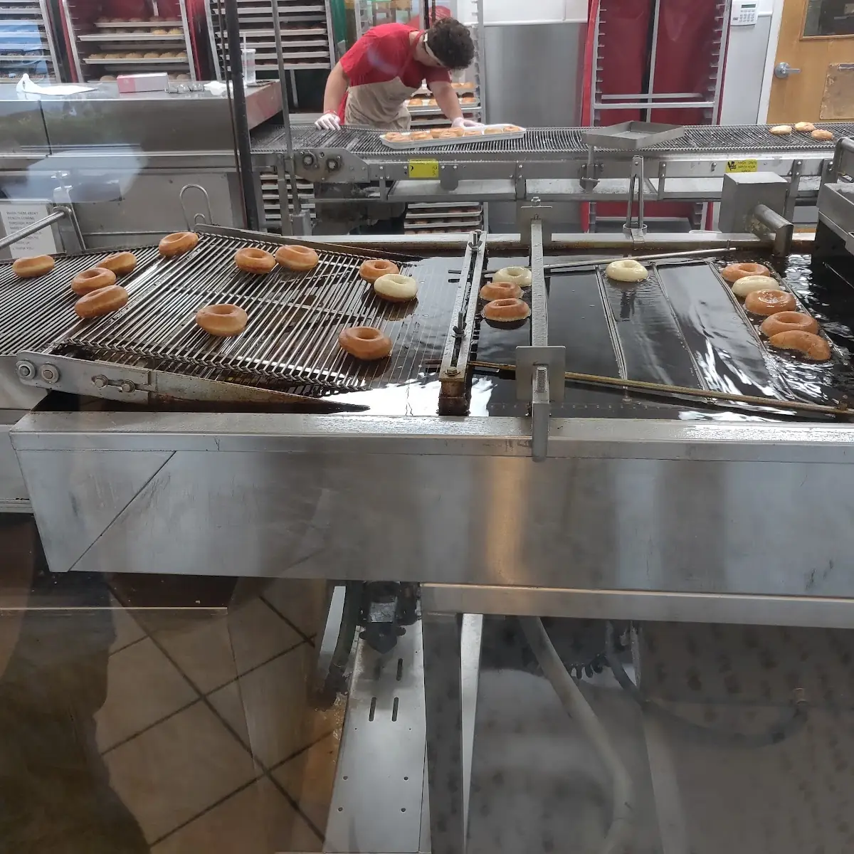 Plain Donuts