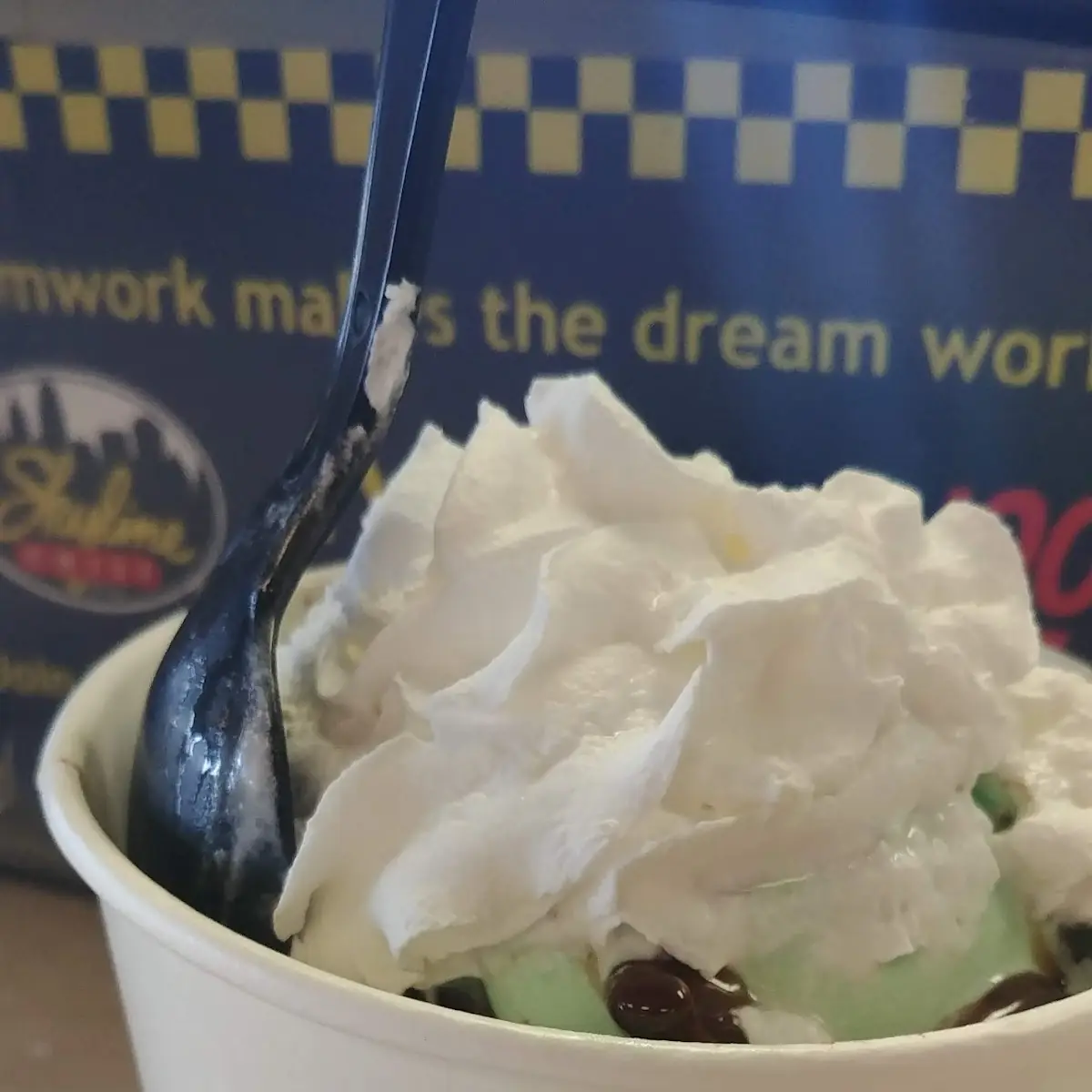 Mint Chocolate Chip