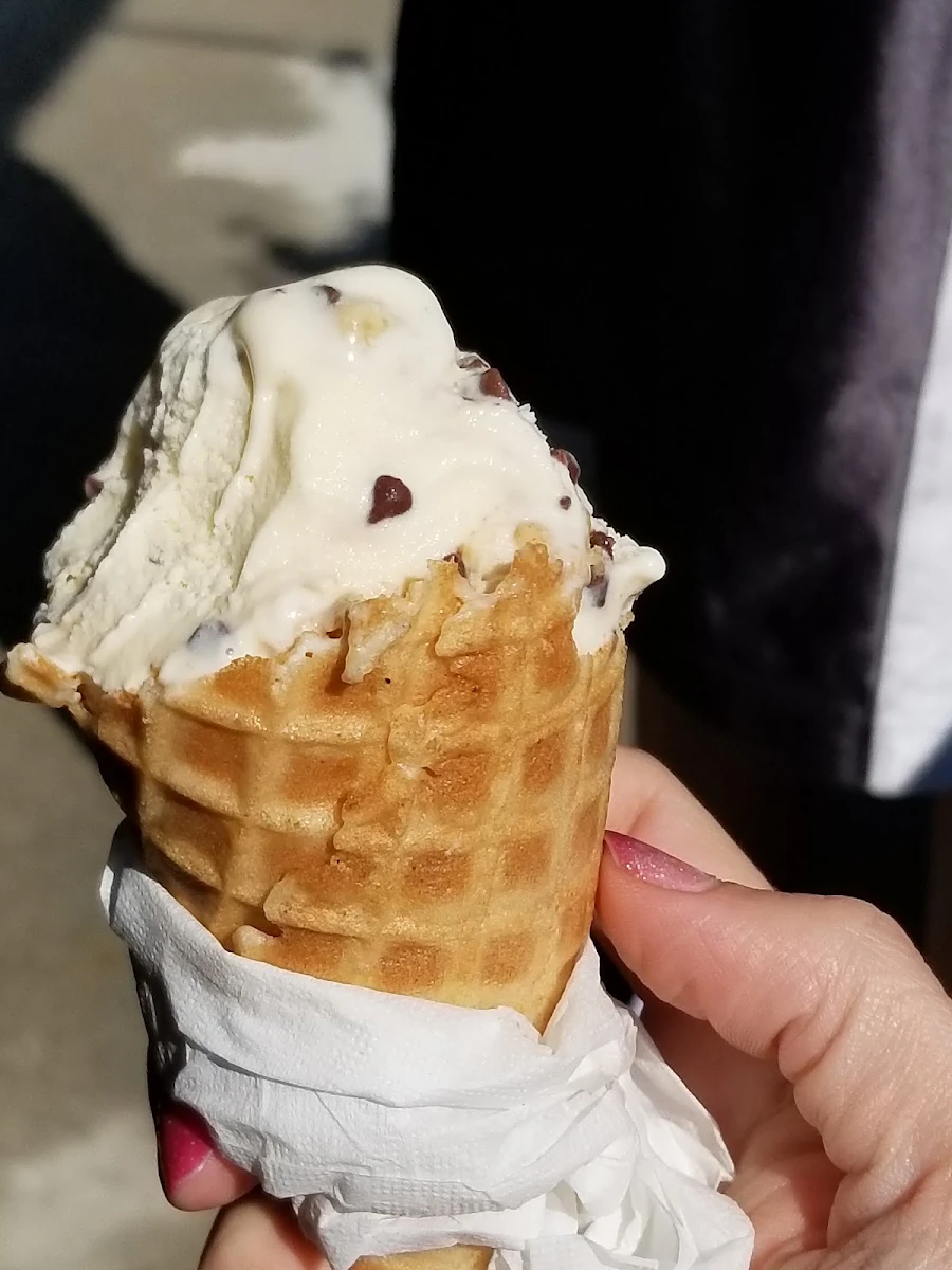 Chocolate Chip Cookie Dough