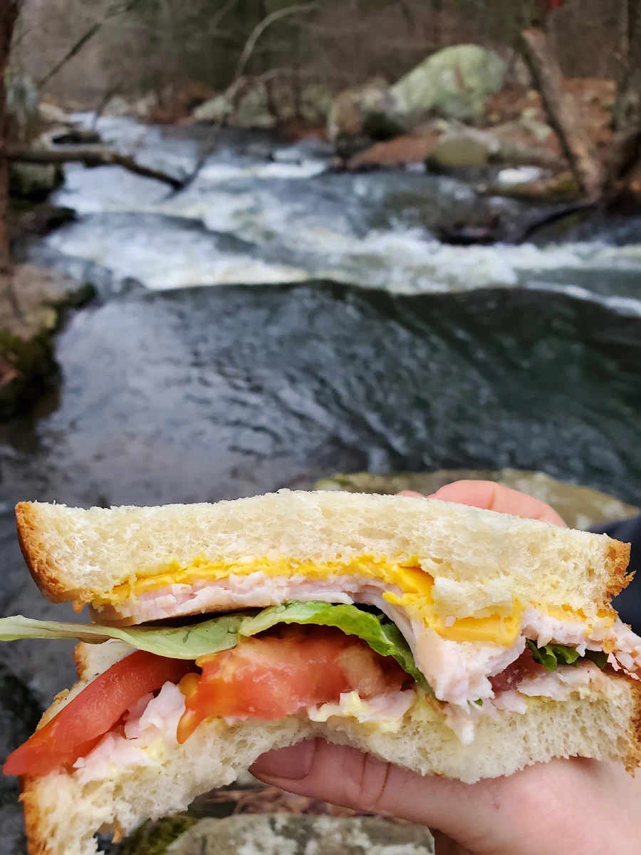 Turkey & Cheese on Sourdough