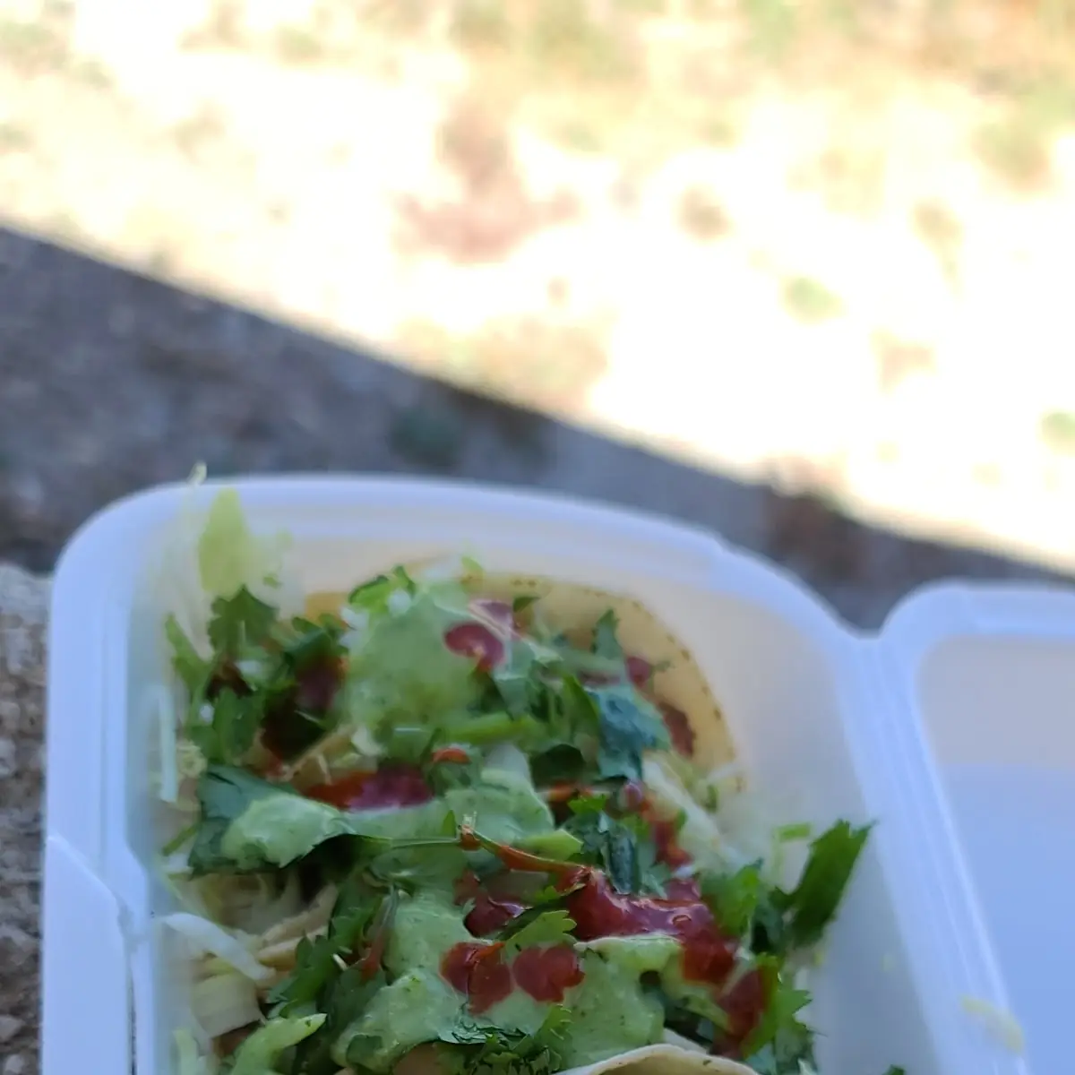 Carnitas Taco