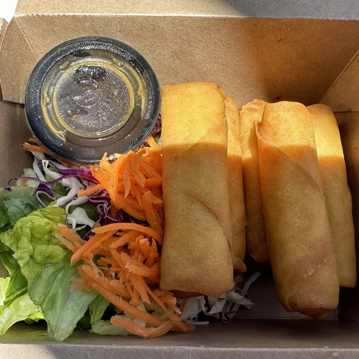 Vegetable Spring Rolls