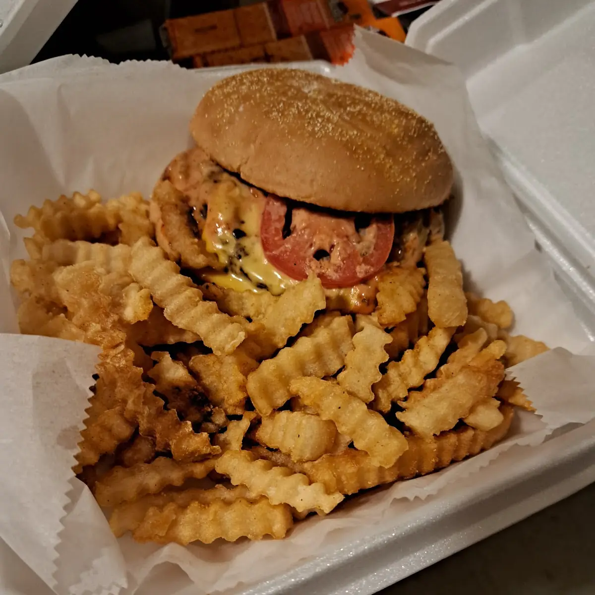Cheese Burger and Fries