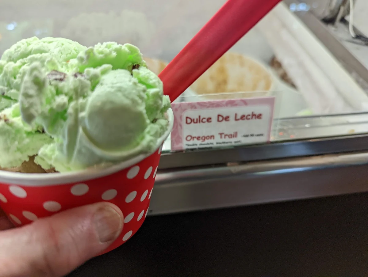 Mint Chocolate Chip Ice Cream